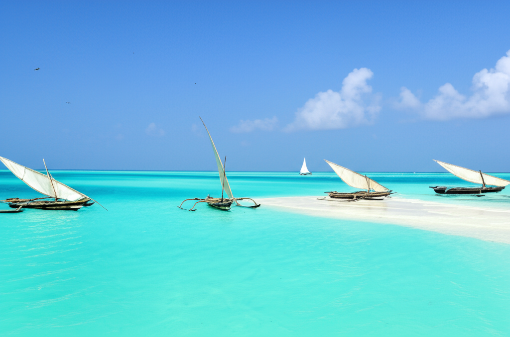 Ocean & Water Adventures