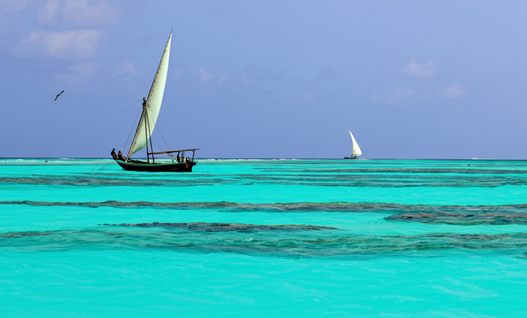 Ocean Adventure Package