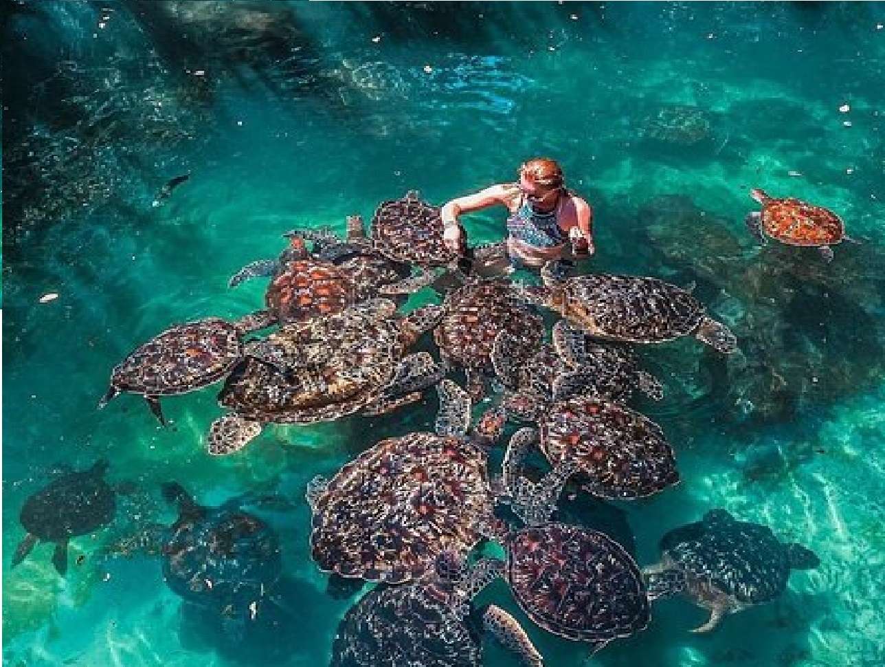 Baraka Aquarium Tour