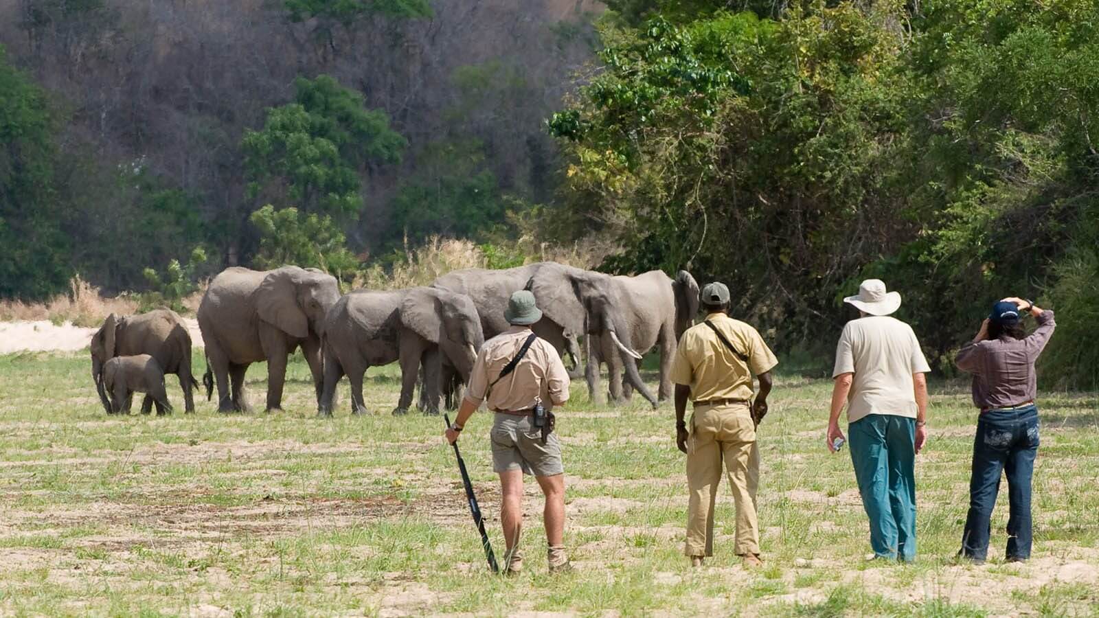 Selous Game Reserve Safari